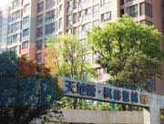 西安枫林意树